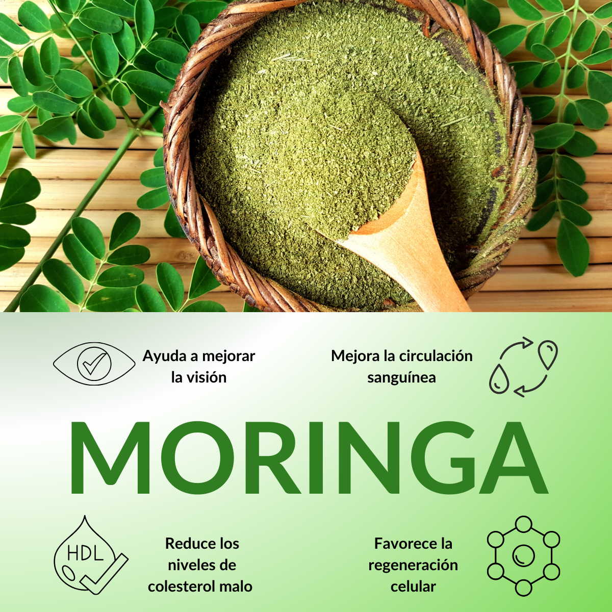 Moringa Oleifera 100% Original 100 cápsu